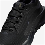 Nike PEGASUS TRAIL 5 GTX (W) Кроссовки беговые женские Черный - фото 321206