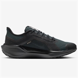 Nike AIR ZOOM PEGASUS 41 GTX Кроссовки беговые Черный - фото 321210