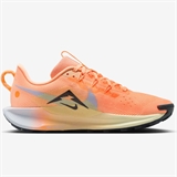 Nike PEGASUS TRAIL 5 (W) Кроссовки беговые женские Оранжевый - фото 321230