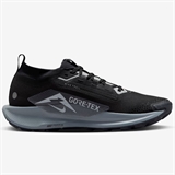 Nike PEGASUS TRAIL 5 GTX Кроссовки беговые Черный/Серый - фото 321260