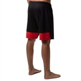 +Adrenalina 2014 BLIX Шорты волейбольные унисекс Черный/Красный - фото 325225