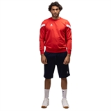 +Adrenalina 2024 EQUIPE Шорты спортивные унисекс Темно-синий - фото 325355