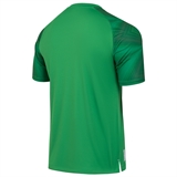 Jögel NATIONAL PERFORMDRY GK JERSEY Футболка вратарская Зеленый - фото 325525