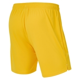 Jögel PREMIER PERFORMDRY GK SHORTS Шорты вратарские Желтый - фото 325732