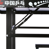 Double Fish 203M-1 INDOOR Стол для настольного тенниса для закрытых помещений - фото 325755