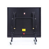 Double Fish 203M-1 INDOOR Стол для настольного тенниса для закрытых помещений - фото 325759