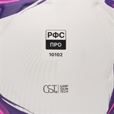 Jögel TRIUMPH ELITE WSL №5 Мяч футбольный* - фото 325882