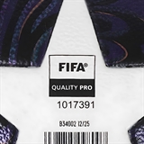 Adidas UCL COMPETITION (JX9096-5) Мяч футбольный - фото 326902