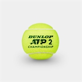 Dunlop ATP CHAMPIONSHIP 3B Мячи для большого тенниса (3 шт) - фото 328157