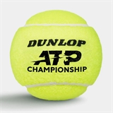 Dunlop ATP CHAMPIONSHIP 4B Мячи для большого тенниса (4 шт) - фото 328159