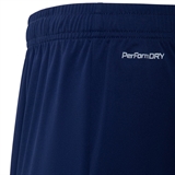Jögel NATIONAL PERFORMDRY AWAY SHORTS Шорты игровые Темно-синий - фото 329261