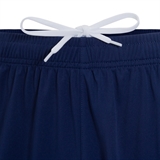 Jögel NATIONAL PERFORMDRY AWAY SHORTS Шорты игровые Темно-синий - фото 329262