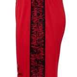 Jögel AMKAL PERFORMDRY SHORTS Шорты игровые Красный/Черный - фото 329302