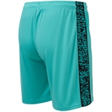 Jögel AMKAL PERFORMDRY SHORTS Шорты игровые Бирюзовый/Черный - фото 329349