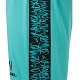 Jögel AMKAL PERFORMDRY SHORTS Шорты игровые Бирюзовый/Черный - фото 329352