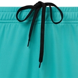 Jögel AMKAL PERFORMDRY SHORTS Шорты игровые Бирюзовый/Черный - фото 329353