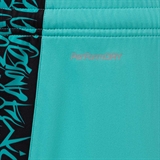 Jögel AMKAL PERFORMDRY SHORTS Шорты игровые Бирюзовый/Черный - фото 329354