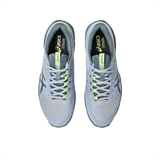 Asics SOLUTION SPEED FF 4 CLAY Кроссовки теннисные Серый - фото 331477