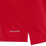 Jögel DIVISION PERFORMDRY UNION JERSEY 26 Футболка Красный - фото 331503