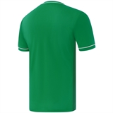 Jögel DIVISION PERFORMDRY ELEMENT JERSEY 26 Футболка игровая Зеленый - фото 331875