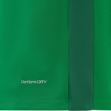 Jögel DIVISION PERFORMDRY ELEMENT JERSEY 26 Футболка игровая Зеленый - фото 331877