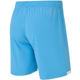 Jögel DIVISION PERFORMDRY UNION SHORTS 26 Шорты детские Голубой - фото 331931