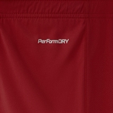 Jögel DIVISION PERFORMDRY UNION SHORTS 26 Шорты детские Гранатовый - фото 331957