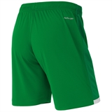 Jögel DIVISION PERFORMDRY UNION SHORTS 26 Шорты детские Зеленый - фото 332048