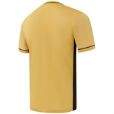 Jögel DIVISION PERFORMDRY ELEMENT JERSEY 26 Футболка игровая детская Золотой - фото 332078