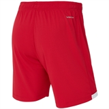 Jögel DIVISION PERFORMDRY UNION SHORTS 26 Шорты детские Красный - фото 332128