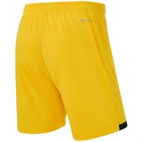 Jögel DIVISION PERFORMDRY UNION SHORTS 26 Шорты детские Желтый - фото 332147