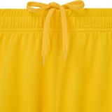 Jögel DIVISION PERFORMDRY UNION SHORTS 26 Шорты детские Желтый - фото 332148
