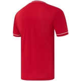 Jögel DIVISION PERFORMDRY ELEMENT JERSEY 26 Футболка игровая детская Красный - фото 332208