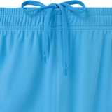 Jögel DIVISION PERFORMDRY UNION SHORTS 26 Шорты Голубой - фото 332323