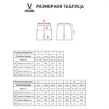 Jögel DIVISION PERFORMDRY UNION SHORTS 26 Шорты Голубой - фото 332325
