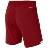 Jögel DIVISION PERFORMDRY UNION SHORTS 26 Шорты Гранатовый - фото 332368