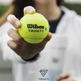 Wilson TRINITY Мячи для большого тенниса (4 шт) - фото 333866