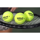 Wilson TRINITY Мячи для большого тенниса (4 шт) - фото 333867