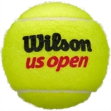 Wilson US OPEN EXTRA DUTY Мячи для большого тенниса - фото 333904