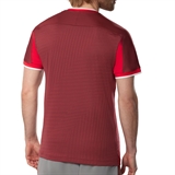 Mizuno STRAGAZER GRAPHIC SHORT SLEEVE TEE Футболка теннисная Красный - фото 334009