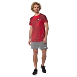 Mizuno STRAGAZER GRAPHIC SHORT SLEEVE TEE Футболка теннисная Красный - фото 334010