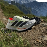 Adidas TERREX AGRAVIC SPEED ULTRA 2 (W) Кроссовки беговые трейловые женские Серый/Зеленый/Черный - фото 334766