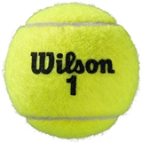 Wilson ROLAND GARROS ALL CT Мячи для большого тенниса (4 мяча в тубе) - фото 335101