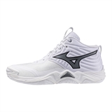 Mizuno WAVE MOMENTUM ELITE MID Кроссовки волейбольные Белый/Серый - фото 337043