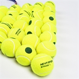 Neva Sport GREEN Мячи для большого тенниса (36 шт) - фото 337873