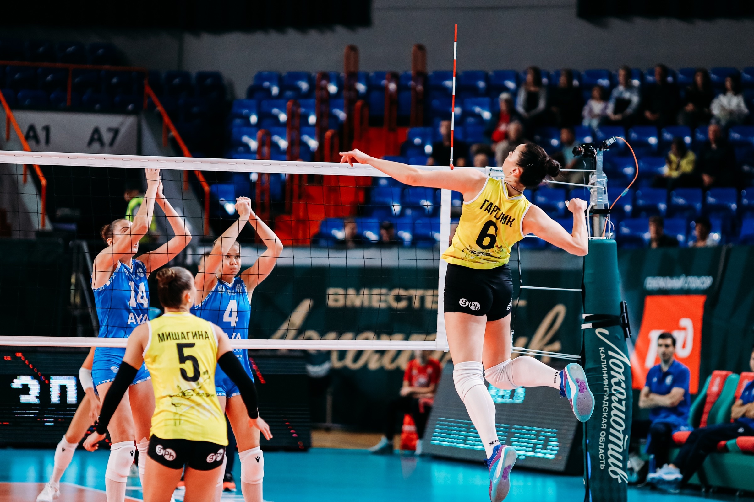 как Анастасия Гарелик выбирает кроссовки