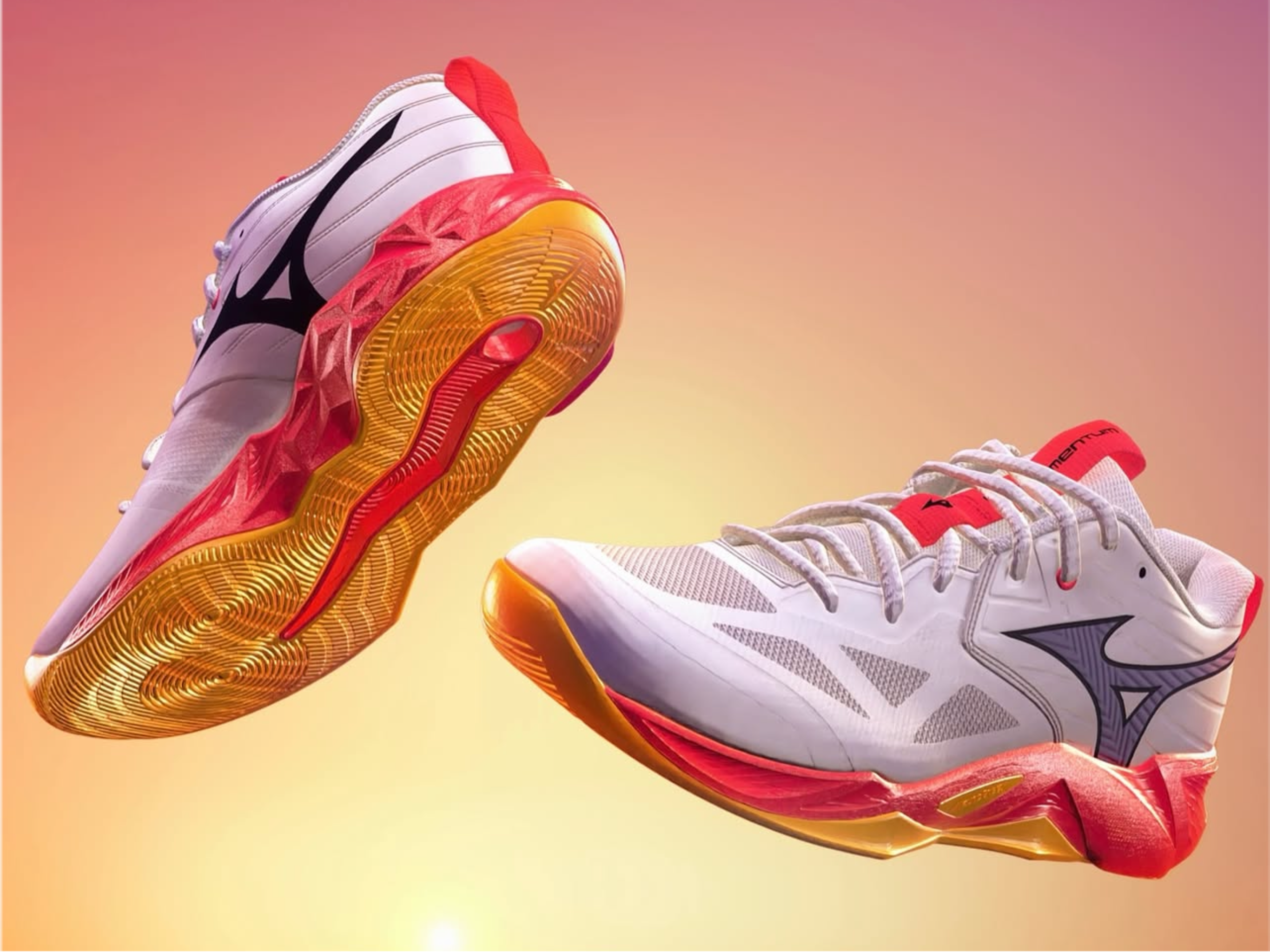 Mizuno Wave Momentum Pro