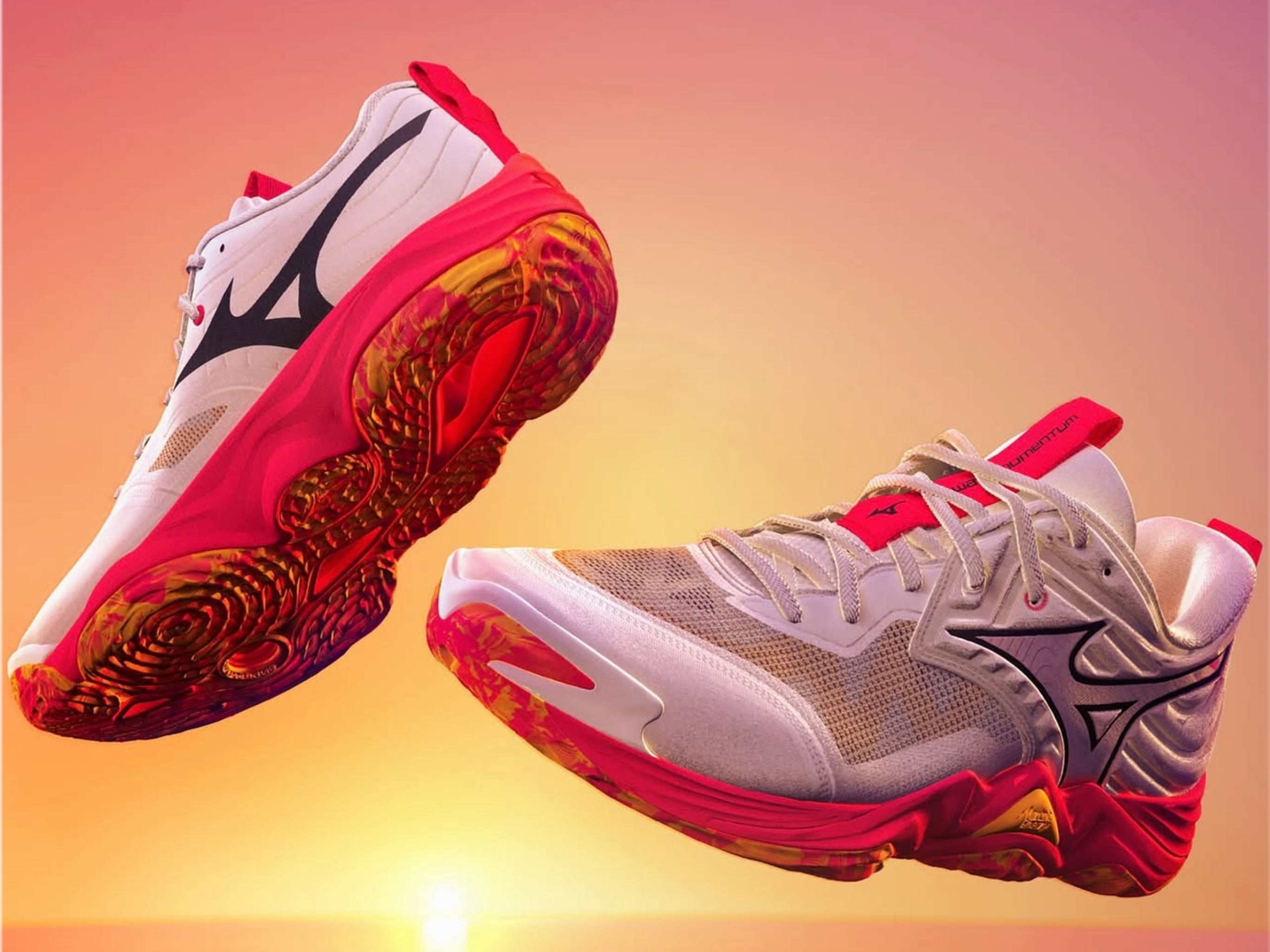 Mizuno Wave Momentum Elite